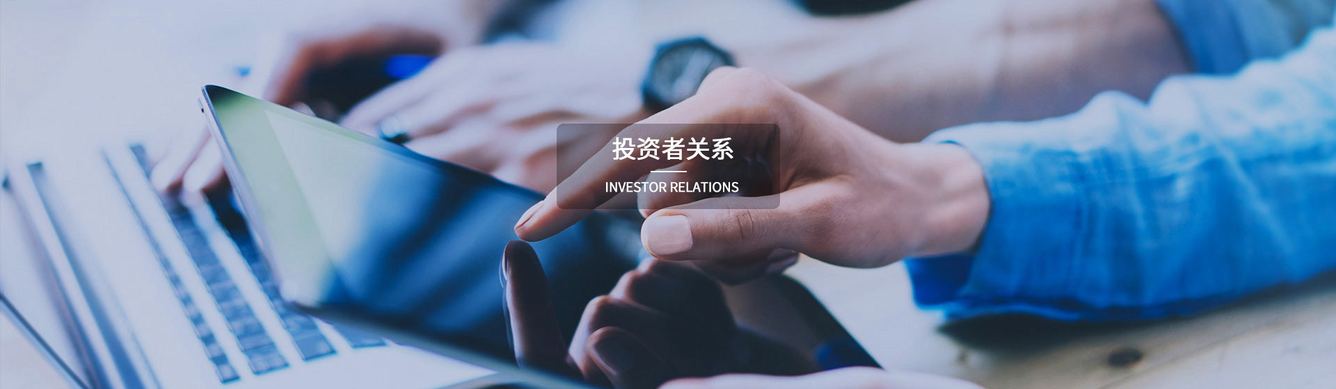 凤凰联盟官方网站